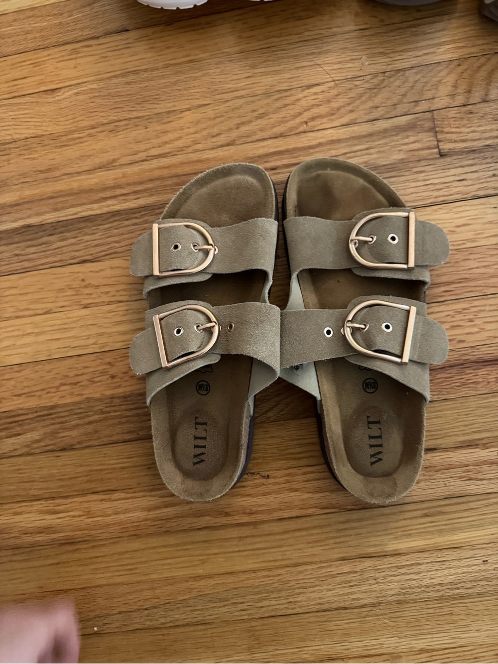 Wilt Suede Double-Buckle Sandals in Olive Green with Gold Buckles